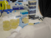 Global Antibiotic Research and Development Partnership