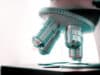 Biochemical synthesis discovery could unlock new drug development breakthroughs