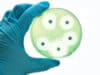 Sepsis study to power new antibiotic discoveries