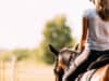 Equine facilitated therapy for low back pain