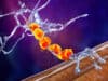 Advances in Motor neuron disease treatments