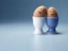 Cracking under Easter holiday pressures