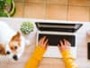 How your pet can benefit your mental health
