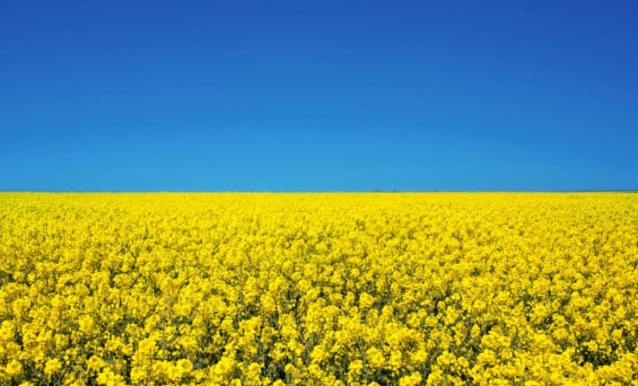 hay fever season