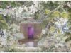 Chelsea Flower Show 2023 in review