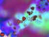 Nanoparticles deliver brain cancer treatment