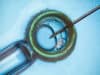Hope and female choice when it comes to fertility