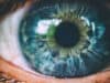 Elite immune cells patrolling the human eye