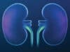 Peritoneal dialysis: New treatment option against infections