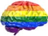 Shaping thinking on LGBT+ mental health