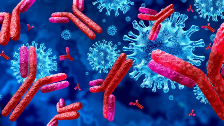 immunosuppressed