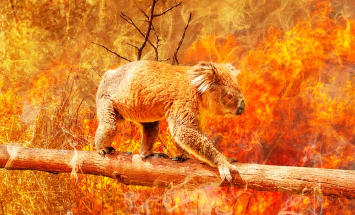 climate change