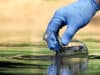 WHO: ongoing cholera upsurge