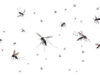 WHO’s annual malaria report spotlights the growing threat of climate change