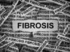 Iron accumulation: a new insight into fibrotic diseases
