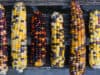 Genetic Variation Influences Gene Regulatory Actions