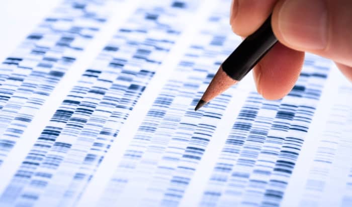 gene