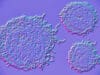 Neuroendocrine prostate cancer treatment responsiveness restoration