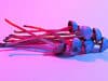 Psychedelic experiences linked with improved sexual function
