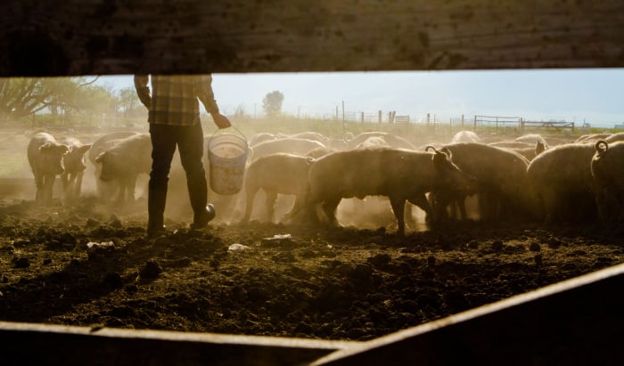 farming