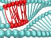 First UK patients receive experimental mRNA therapy for cancer
