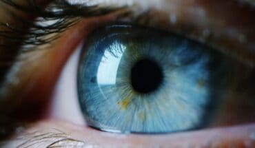 vision