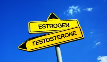 Sex Hormones