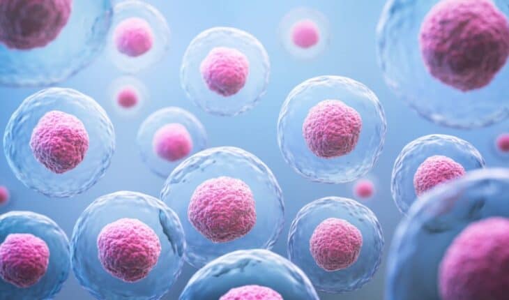 Stem Cell Breakthrough