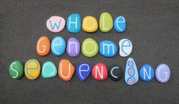 whole genome