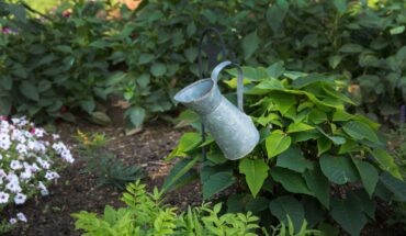 Gardening with Less Effort