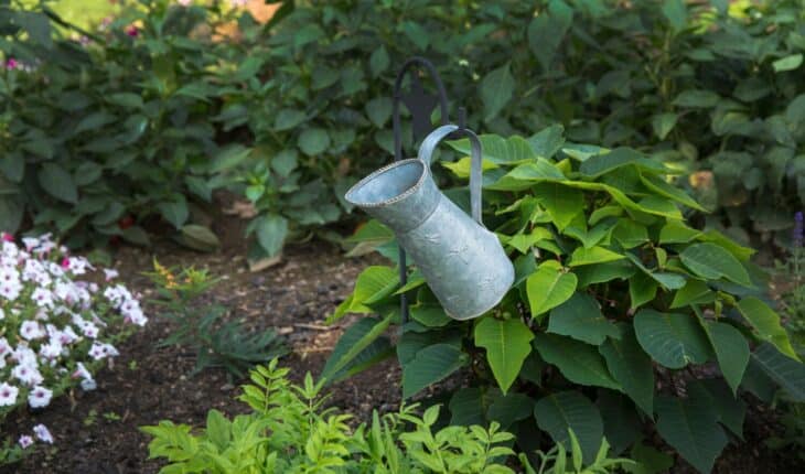 Gardening with Less Effort