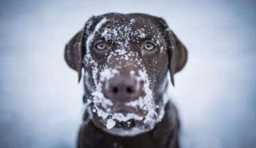 Winter Weather
