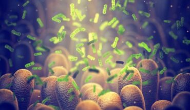 Gut microbiome
