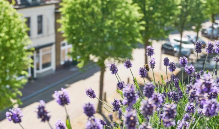 longer pollen seasons