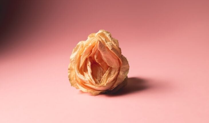 Menopausal Sexual Health