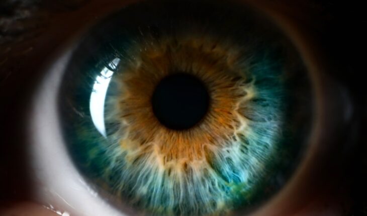 HIV drug improves vision